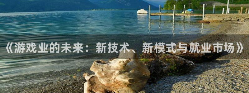 奇亿娱乐在线登录：《游戏业的未来：新技术、新模式与就业市场》