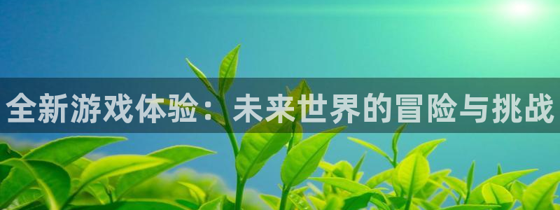 奇亿娱乐4主管：全新游戏体验：未来世界的冒险与挑战