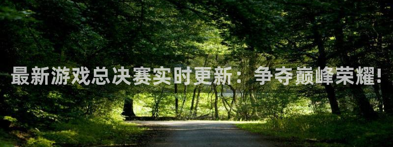 奇亿娱乐平台注册：最新游戏总决赛实时更新：争夺巅峰荣耀!