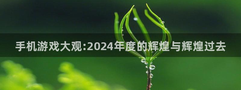 奇亿娱乐网址官网：手机游戏大观:2024年度的辉煌与辉煌过去