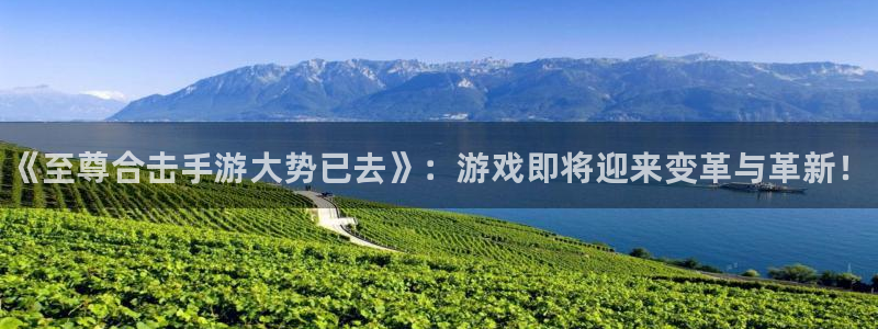 奇亿娱乐网页版地址：《至尊合击手游大势已去》：游戏即将迎来变