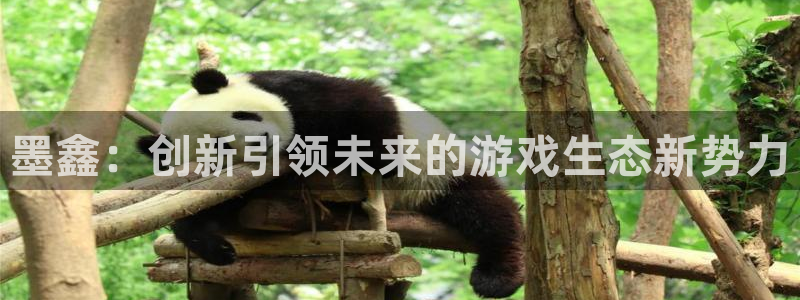 奇亿娱乐在线登录：墨鑫：创新引领未来的游戏生态新势力