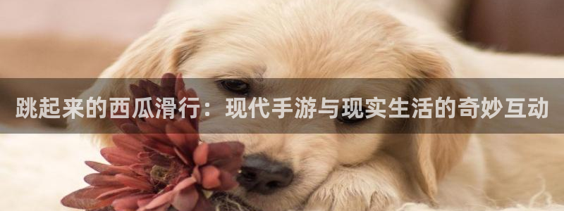 奇亿娱乐官网登录：跳起来的西瓜滑行：现代手游与现实生活的奇妙
