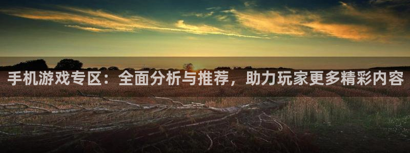 奇亿娱乐飞3.3.4.8.2菲特：手机游戏专区：全面分析与推
