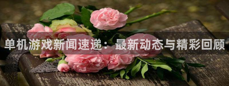 奇亿娱乐平台官网注册：单机游戏新闻速递：最新动态与精彩回顾