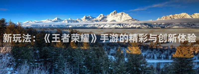 奇亿娱乐注册地址：新玩法：《王者荣耀》手游的精彩与创新体验