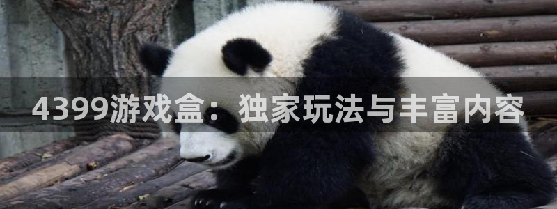 奇亿娱乐注册测速：4399游戏盒：独家玩法与丰富内容