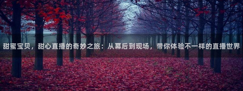 蓝鲸体育直播在线观看网球