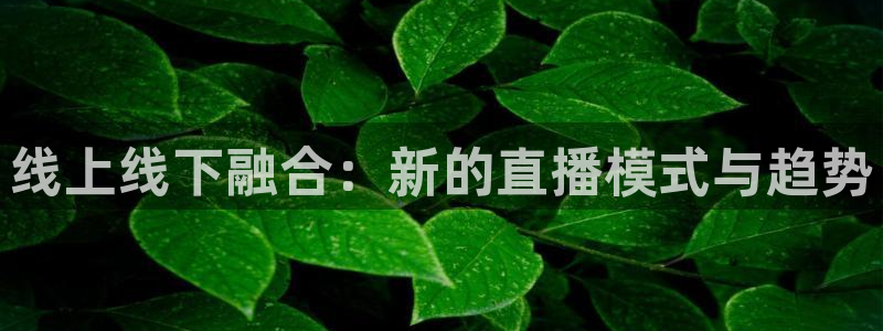 蓝鲸直播足球直播：线上线下融合：新的直播模式与趋势