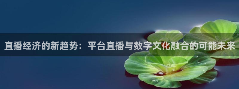 蓝鲸足球直播免费观看直播：直播经济的新趋势：平台直播与数字文化融合的可能未来